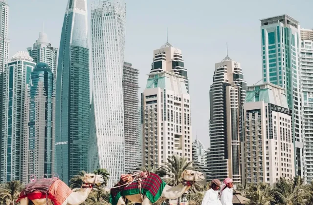 Dubai skyline at sunset over the Marina — the Dubai on a budget travel guide by The Travel Guide