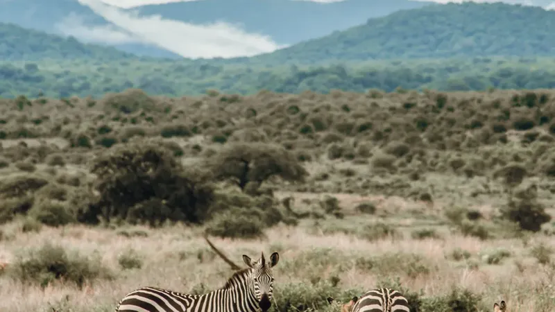 Kruger National Park